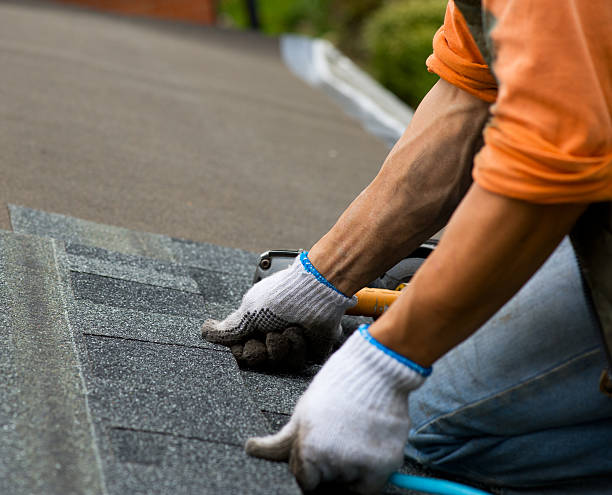 Roof Gutter Cleaning in Dauphin Island, AL